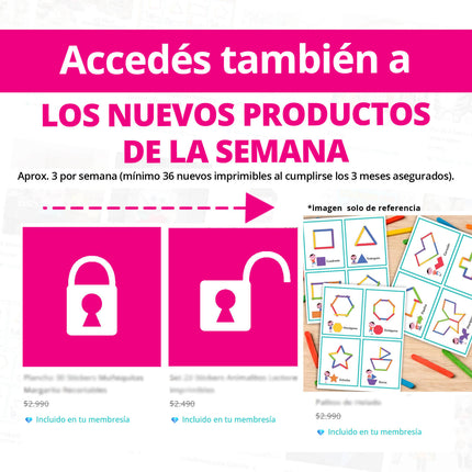 MEMBRESIA VIP - PASE 3 MESES